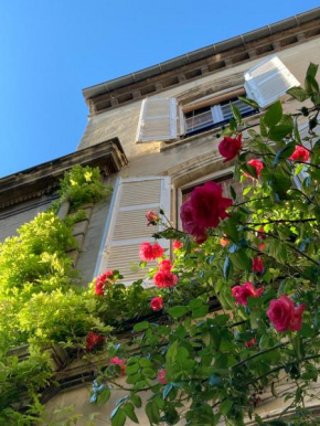 Cocooning Avignon